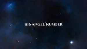 Find out the Meaning of 1116 Angel Number