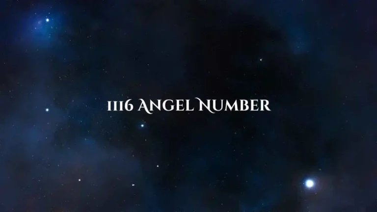 Find out the Meaning of 1116 Angel Number